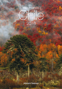 Ein großartiger und künstlerisch wertvoller Kalender für den Chile-Freund und alle, denen bei faszinierenden Landschaftsaufnahme